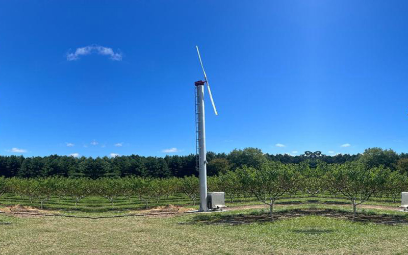 Delaware Orchard Pioneers Frost-Fighting Wind Turbines
