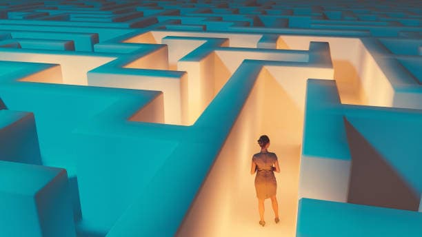 The Professional Puzzle of Problem Solvers