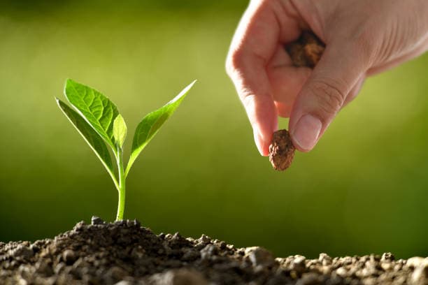 Leading Propane Business Growth