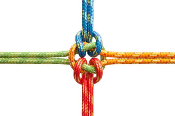 Building Lasting Bonds: Cultivating Customer Loyalty