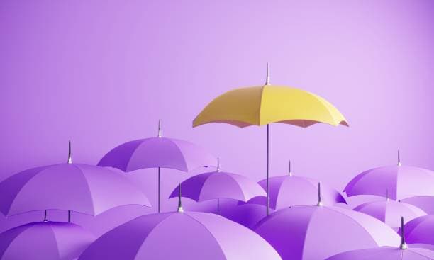 Building a Strong Brand: Shifting Focus from Competitors to Customer Value