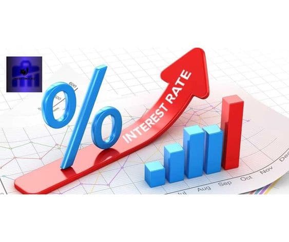 Feeling the Pinch? Interest Rates and Plant Expansion