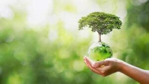 hand-holding-green-earth-image
